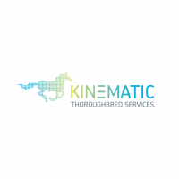 Kinematic