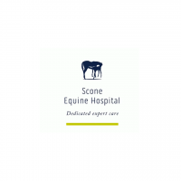 Scone Equine Hospital
